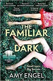 THE FAMILIAR DARK | 9781529368116 | AMY ENGEL