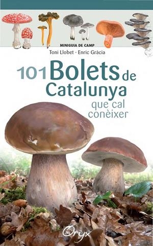 101 BOLETS DE CATALUNYA QUE CAL CONEIXER | 9788490347098 | LLOBET FRANÇOIS, TONI / GRÀCIA, ENRIC 