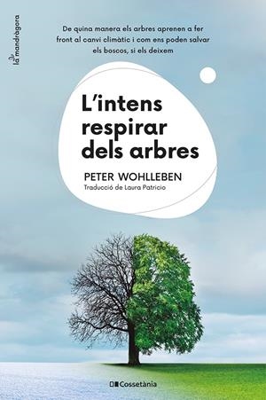 L'INTENS RESPIRAR DELS ARBRES. DE QUINA MANERA ELS ARBRES APRENEN A FER FRONT AL CANVI CLIMÀTIC I COM ENS PODEN | 9788413562087 | WOHLLEBEN, PETER