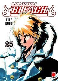 MAXIMUM BLEACH N.25 | 9788411019934 | KUBO, TITE
