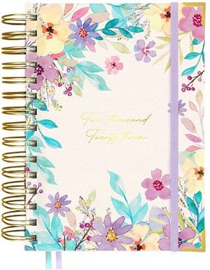 AGENDA ANUAL 2023 DP GALA WIRE-O 160X213 | 8429654044673