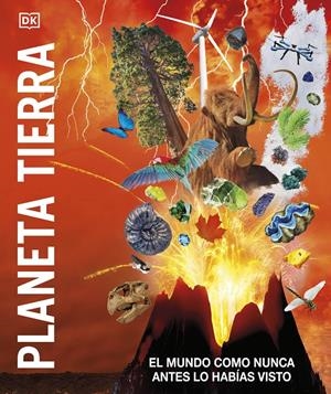 PLANETA TIERRA. EL MUNDO COMO NUNCA ANTES LO HABÍAS VISTO | 9780241582817 | DK,