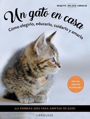 UN GATO EN CASA. CÓMO ELEGIRLO, EDUCARLO, CUIDARLO Y AMARLO | 9788419436092 | BULARD-CORDEAU, BRIGITTE