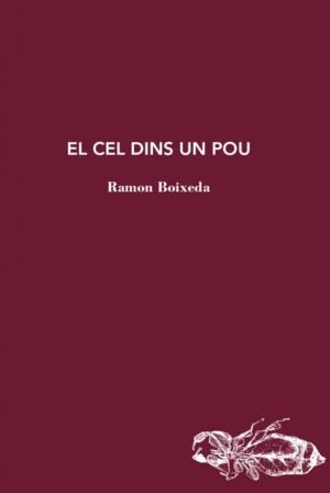 EL CEL DINS UN POU | 9788412577464 | RAMON BOIXEDA