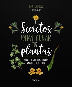 SECRETOS PARA CURAR TUS PLANTAS. GUÍA DE REMEDIOS NATURALES PARA HUERTO Y JARDÍN | 9788441547162 | VÁZQUEZ MUÑOZ, IVÁN