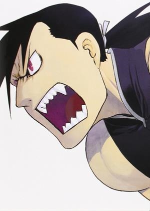 FULLMETAL KANZENBAN 14 | 9788467916478 | VVAA