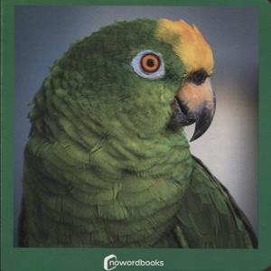 VERDE | 9788412534405 | NOWORDBOOKS