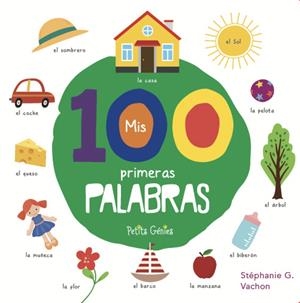 MIS 100 PRIMERAS PALABRAS | 9781773883397