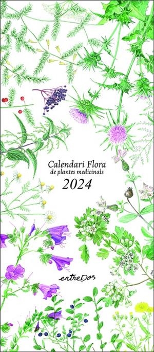 CALENDARI FLORA DE PLANTES MEDICINALS 2024 | 9788418900624 | VILALDAMA, PERE/VILALDAMA, PERE