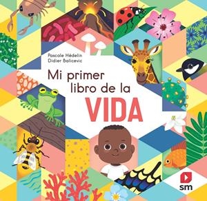 PLD. MI PRIMER LIBRO DE LA VIDA | 9788498569377 | HÉDELIN, PASCALE