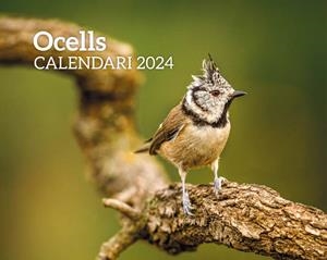 CALENDARI OCELLS 2024 | 8415001047909