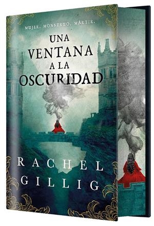 UNA VENTANA A LA OSCURIDAD (EDICIÓN ESPECIAL LIMITADA) | 9788410163850 | GILLIG, RACHEL