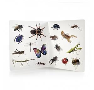 ANIMALES! | 9788412906882 | AA.VV.