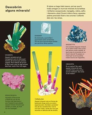 QUÈ ENS DIUEN LES PEDRES? | 9791399021073 | WEI-HAAS, MAYA