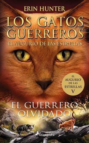 LOS GATOS GUERREROS | EL AUGURIO DE LAS ESTRELLAS 5 - EL GUERRERO OLVIDADO | 9788419275318 | HUNTER, ERIN