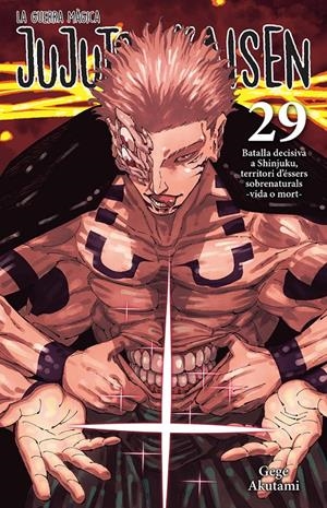 JUJUTSU KAISEN 29 CATALA | 9788467976274 | AKUTAMI, GEGE