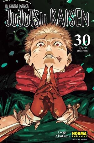JUJUTSU KAISEN 30 CATALA | 9788467976281 | AKUTAMI, GEGE