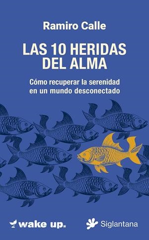 LAS 10 HERIDAS  DEL ALMA CÓMO RECUPERAR LA SERENIDAD  EN UN MUNDO DESCONECTADO | 9788410179745 | CALLE, RAMIRO